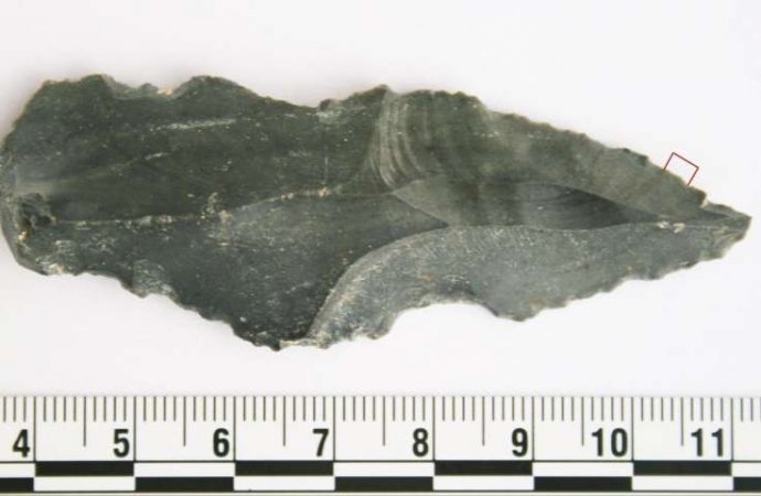 Archaeology team makes world-first tool discovery