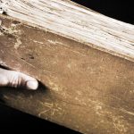 The Mysterious Ancient Origins of the Book