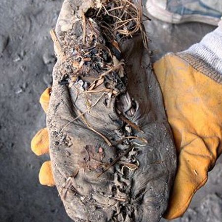 Air Methuselahs: The World’s Oldest Shoes