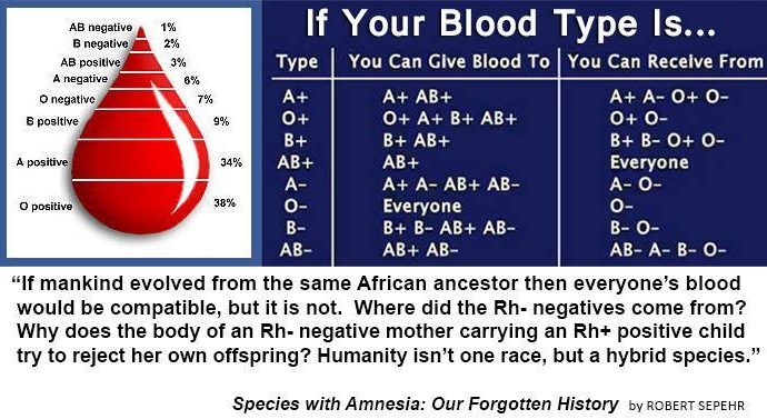 Bloodtype Rh negative and our Alien DNA: An otherworldly lineage of a species with amnesia