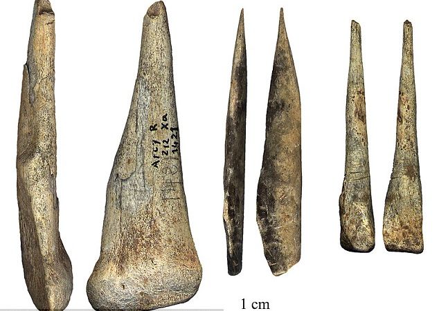Were these Europe’s last surviving Neanderthals? 42,000-year-old fossils suggest our ancient cousins were much smarter than we thought