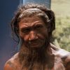 Did Neanderthals talk like you? Scans of fossil ear bones from extinct human cousins show they were tuned for vocal communication