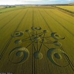 Huge crop circle appears overnight in South West England