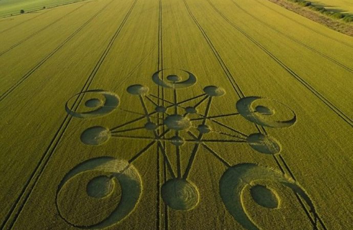 Huge crop circle appears overnight in South West England