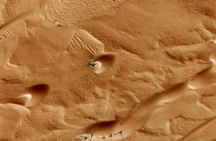 Are Those Spidery Black Things On Mars Dangerous? (Maybe)