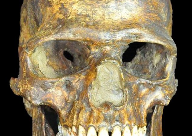 Fossil DNA confirms interbreeding between humans and Neanderthals