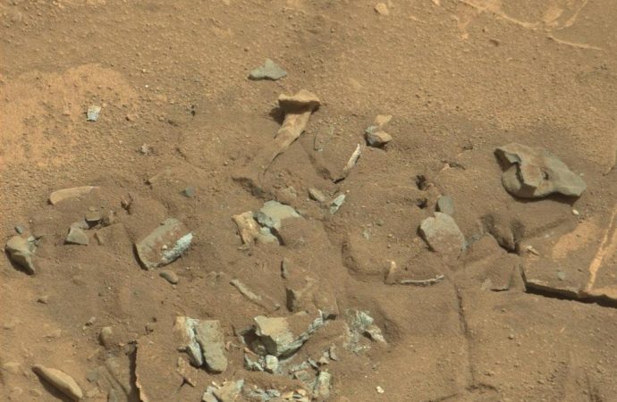 ‘Thigh Bone’ on Mars Is Just Another Rock, NASA Says