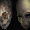DNA test results: Paracas skulls are not human
