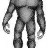 Where Does Bigfoot Live in North America?