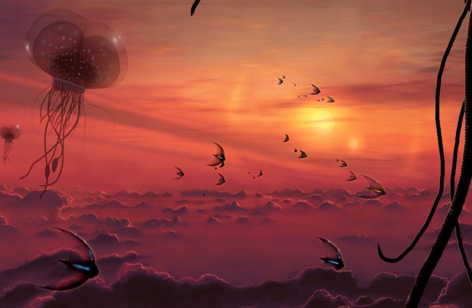 Alien life could thrive in the clouds of failed stars
