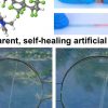 A wolverine inspired material: Self-healing, transparent, highly stretchable material can be electrically activated