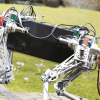 More Than Human: Scientist is Building Animal-Like Machines to Save Lives