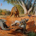 Humans, not climate change, wiped out Australian megafauna