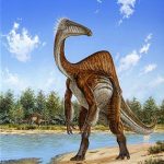 Mystery of the ‘horrible hand’ dino solved