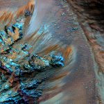 Dried-up slime could help microbes survive briny waters on Mars