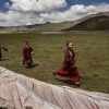 Hunters lived on Tibetan plateau thousands of years earlier than thought