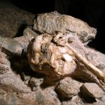 New stratigraphic research makes Little Foot the oldest complete Australopithecus