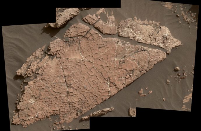 Mars Rover Curiosity Examines Possible Mud Cracks