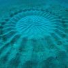 Mysterious Underwater ‘Crop Circles’ Discovered Off the Coast of Japan