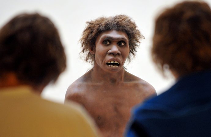 Extinct Neanderthals still control expression of human genes