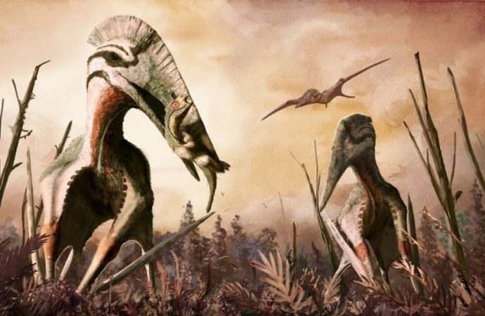 Plane-sized flying reptile was a feared killer in Transylvania