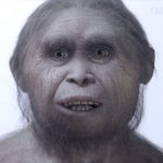 The ancient ‘hobbits’ of Indonesia were 600,000 years older than previously thought