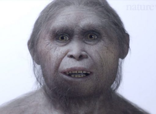The ancient ‘hobbits’ of Indonesia were 600,000 years older than previously thought