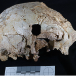 How a 400,000-year-old skull fragment hints at ancient ‘unified humanity’