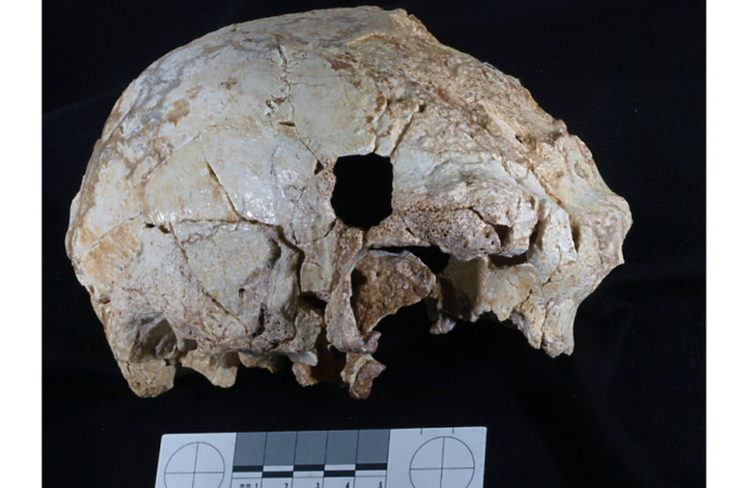 How a 400,000-year-old skull fragment hints at ancient ‘unified humanity’