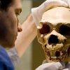 Neanderthals ‘self-medicated’ for pain