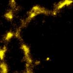 Researchers are first to see DNA ‘blink’