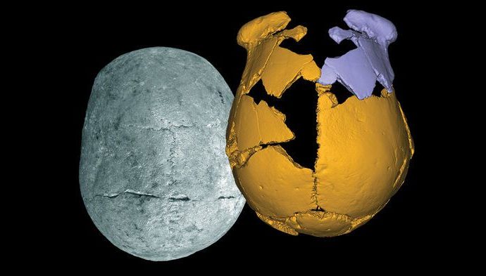 Skulls Found in China Are Part Human, Part Neanderthal