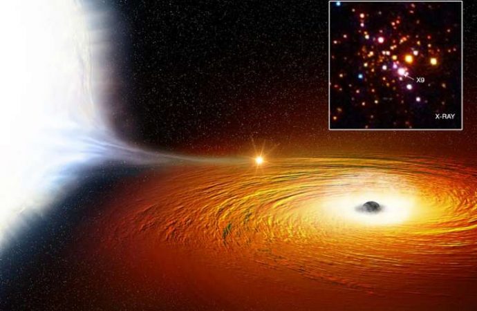 Star in closest orbit ever seen around black hole