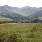 Visiting Dmanisi, Earliest Hominin Site Beyond Africa
