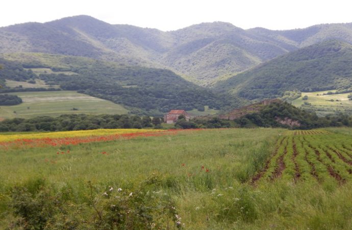 Visiting Dmanisi, Earliest Hominin Site Beyond Africa