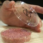 Lab-grown meat is about to go global, and one firm is feverishly paving the way