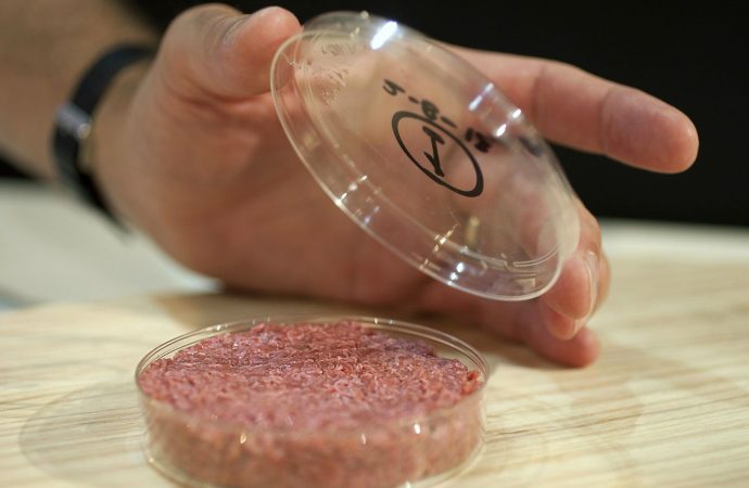 Lab-grown meat is about to go global, and one firm is feverishly paving the way
