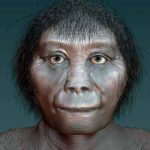Mystery human hobbit ancestor may have been first out of Africa