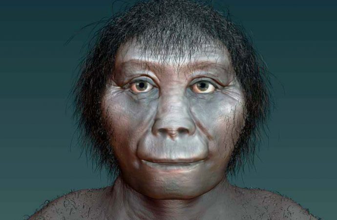Mystery human hobbit ancestor may have been first out of Africa