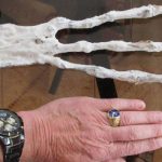 Proof of aliens? Researchers claim ‘giant hand from cave’ could be extra terrestrial