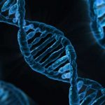 Scientists predict reading ability from DNA alone