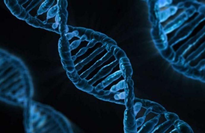Scientists predict reading ability from DNA alone