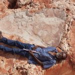 World’s largest dinosaur footprints discovered in Western Australia