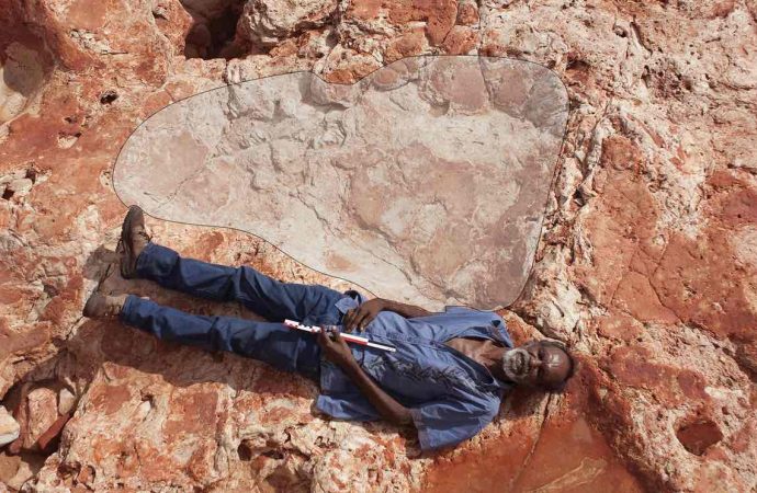 World’s largest dinosaur footprints discovered in Western Australia