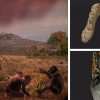 Europe was the birthplace of mankind, not Africa, scientists find