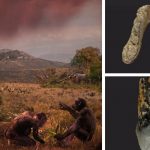 Europe was the birthplace of mankind, not Africa, scientists find
