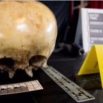 Final Results! – Determining if the Starchild Skull is Part Alien