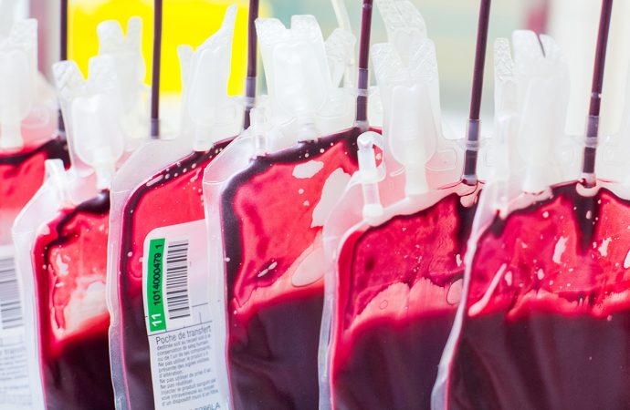Human blood stem cells grown in the lab for the first time