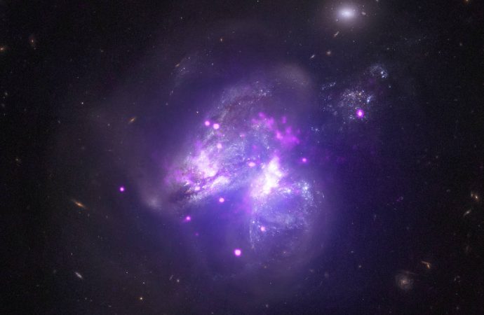 Chandra Samples Galactic Goulash