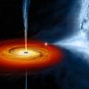 Do Stars Vanish Into a Black Hole or Crash Against a Surface? A New Test Answers